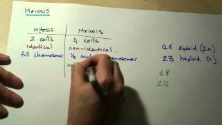 B5 OCR Biology Meiosis [upl. by Lyrem]