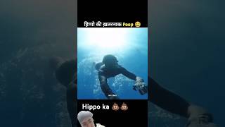 Hippo ka poop 💩💩😂💪shorts facts [upl. by Adeehsar340]