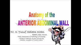 Anatomy  ANTERIOR ABDOMINAL WALL  Part 1  Dr Yusuf [upl. by Legnaleugim]