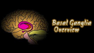 BASAL GANGLIA IN TAMIL  INTRODUCTION  CONNECTION  FUNCTION  APPLIED PHYSIOLOGY  OVERVIEW [upl. by Reneta]