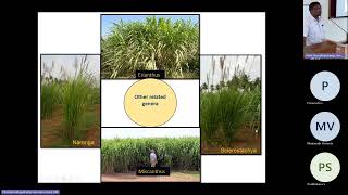 Guest LectureIntergeneric hybrids as potential sources of stress tolerance genes in sugarcane [upl. by Denice]