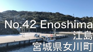 【No42】Enoshima Onagawa Miyagi Miyagis most unexplored island [upl. by Tanhya671]