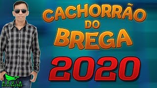 CACHORRÃO DO BREGA 2020  AOW PAIXÃO [upl. by Delanty565]