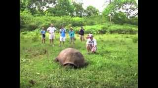 Galapagos Islands  An amazing adventure for kids Galapagos Islands [upl. by Aerdno602]