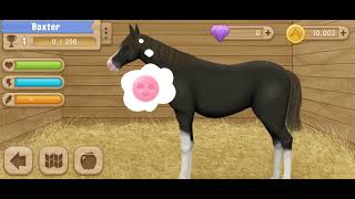 Horse Stable Tycoon Peppermint Vhisp  Training and racing for Gold  Episode One [upl. by Yduj]