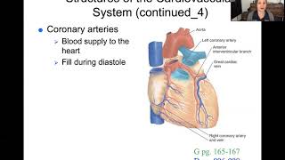 Perfusion Part 1  108 Fundamentals of Nursing II [upl. by Joeann]