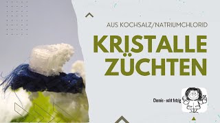 Kristalle züchten DIY  Kristallzucht  mit Experiment [upl. by Abramo]