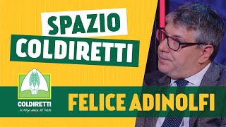 Felice Adinolfi  Spazio Coldiretti [upl. by Timothea]