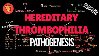 HEREDITARY THROMBOPHILIA Pathogenesis of Antithrombin deficiency Factor 5 Leiden Protein CS def [upl. by Husain]