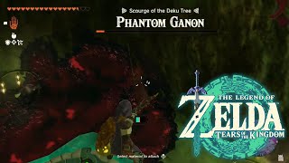 Phantom Ganon  Korok Forest EASY  Zelda Tears of the Kingdom [upl. by Wendell583]