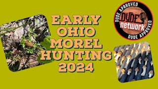 Come Join Us Morel Hunting In Ohio [upl. by Bruce]