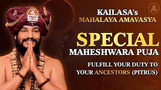 KAILASAs Mahalaya Amavasya Special Maheshwara Puja to Honor Ancestors  2 Oct 2024 [upl. by Yroffej]