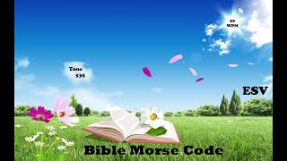 Zechariah chapter 4 of 14  BibleMorseCode [upl. by Atsiuqal]