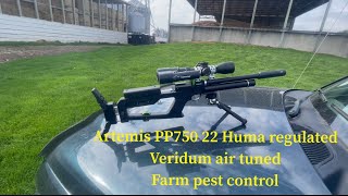 Artemis PP750 22 Huma regulated Veridium air tuned farm pest control [upl. by Atwahs]