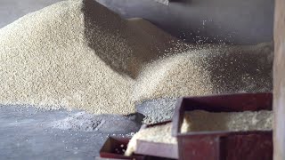 Puffed Rice Making Process In Bulk  MurriMarmaralu Making Process [upl. by Walt]