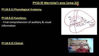 Wernickes area  sensory center for speech [upl. by Einreb]