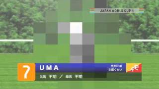 JAPAN WORLD CUP 3 出走馬紹介 UMAウーマ [upl. by Kelam370]