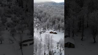 Hyrcanian Forest In Winter  Snowy Jungle  Savadkooh  Mazandaran  IRAN hyrcanian forest [upl. by Nadoj]