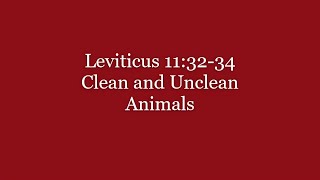 097 Leviticus 1132 34 Clean and Unclean Animals [upl. by Rafaela]