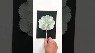 Alchemilla Mollis Monoprint on Black botanicalprint art [upl. by Ruvolo]