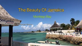 The Beauty of Jamaica  SeaGarden in Montego Bay letvisitworld [upl. by Namwen]