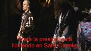 Red Hot Chili Peppers  Parallel Universe live at Slane Castle traducida [upl. by Ytsenoh]