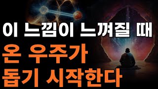 우주 속 원하는 가능성을 현실화 하는 법  양자역학 양자 얽힘 알아차림 [upl. by Nylrats]