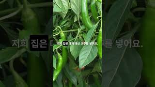 산적 집집마다 다른 매력 🍢 우리 집만의 특별한 레시피는 산적 추석특집 명절음식 전통음식 [upl. by Horn]