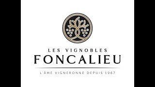 Les Vignobles Foncalieu  L âme vigneronne depuis 1967 [upl. by Harod206]