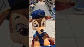 Patrulha canina muito fofos ❤️❤️ toys pawpatrol patrulhacanina [upl. by Anivlis]