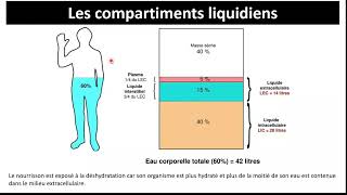 Physiologie du milieu intérieur  Partie 1 [upl. by Akimehs]