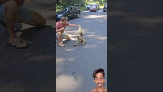 The slowest animal in the world 🌍 shorts youtube subscriber [upl. by Adlesirg]