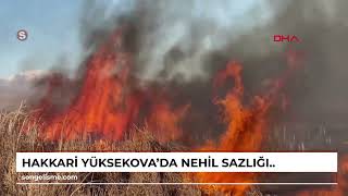 HAKKARİ Yüksekovada Nehil Sazlığında yangın [upl. by Aken654]