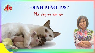 Đinh Mão 1987 Sinh Con Năm Nào Hợp Cha Mẹ [upl. by Odnolor]