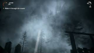 Alan Wake Ambience 25 [upl. by Iru200]