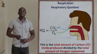 18 Respiration Respiratory Quotient Biology Form 2 [upl. by Marks71]