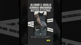 Allenamento del cavallo galleriacavallo allenamentocavallo aerobico anaerobico [upl. by Angy]