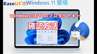 Windows1011のプロダクトキーを確認する方法ーEaseUS [upl. by Nueormahc]