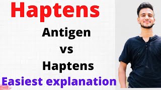 Haptens VS Antigens  Haptens in Immunology [upl. by Pate]