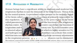 Regulation of Respiration  Respiratory Rhythm Center class 11 Biology NCERT [upl. by Annaohj]