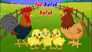 Tek Kotek Kotek Anak Ayam  Lagu Anak Balita Indonesia Populer [upl. by Lebna]