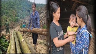 I worked as a hired laborer logging wood to earn money to cover my two sisters lives Triệu Thị Bộ [upl. by Inama]