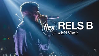 RELS B en vivo FLEX 24NOV2017 [upl. by Aynek]