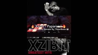 Xzibit  Paparazzi Instrumental Remake By TifsterBeatz 🎹🔥⚡️ [upl. by Zelten]