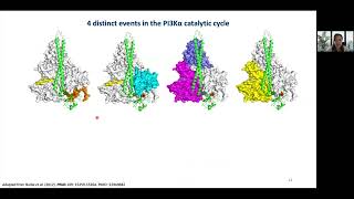 Allosteric SmallMolecule Activation of PI 3Kinase for Cardioprotection and Neuroregeneration [upl. by Tiny812]