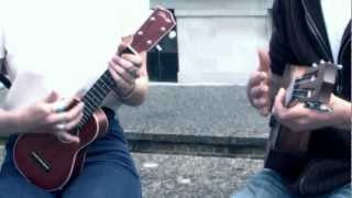 The Ukuleles  Rolling In The Deep Adele Cover Sampler [upl. by Ahsyat]