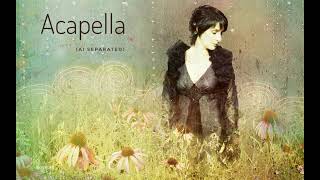 Enya  Sancta Maria Acapella AI separated [upl. by Lemmie491]