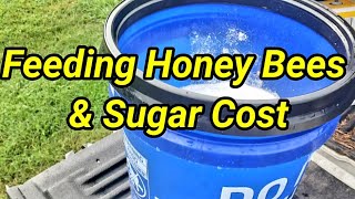 Feeding Honey Bees amp Sugar Cost [upl. by Mccurdy266]