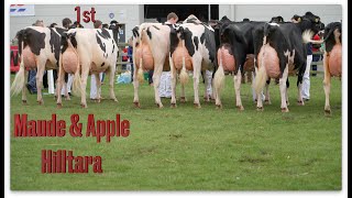 Holstein Pairs at 2022 Ayr and Balmoral Shows [upl. by Pfeifer]