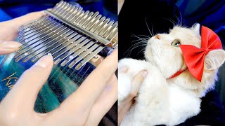 Kikis Delivery Service OST A Town with an Ocean View  Kalimba cover [upl. by Aimahs639]